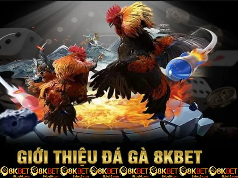 Khi soi kèo đá gà 8kbet, hội viên nên tìm hiểu và nghiên cứu thật kỹ. Đối với những người mới bắt đầu, việc tìm được một chiến thuật phù hợp với mình thực sự không phải là điều dễ dàng. Bài viết tiếp theo sẽ trình bày chi tiết kinh nghiệm cá cược chọi kê bách chiến bách thắng. Thông tin cơ bản về bộ môn soi kèo đá gà trực tuyến Soi kèo đá gà 8kbet giúp hội viên tối ưu được khả năng chiến thắng khi cá cược. Hình thức chọi gà trực tuyến là tiền thân của bộ môn chọi gà truyền thống. Ngày nay, với sự phát triển mạnh mẽ của công nghệ, các nhà cái đã có nhiều thay đổi trong phương pháp cá cược. Khi nói đến chọi kê trực tuyến, tất cả những gì bạn cần là điện thoại thông minh hoặc máy tính xách tay được kết nối internet. Để dễ dàng so sánh cược và đưa ra quyết định đúng đắn, anh em cần trang bị những kiến thức về soi kèo. Tổng quan về hình thức chọi gà online Tổng hợp một số kinh nghiệm khi soi kèo đá gà 8kbet hiệu quả nhất Để giành chiến thắng trong bộ môn chọi kê trực tuyến, anh em có thể tận dụng một số kinh nghiệm được đúc kết từ các cao thủ lâu năm. Những thủ thuật soi kèo mà chúng tôi chia sẻ đảm bảo sẽ mang lại hiệu quả cho anh em. Các kinh nghiệm soi kèo đá gà 8kbet hiệu quả từ cao thủ Chọn địa chỉ tham gia đặt cược đá gà chất lượng, uy tín Hiện nay có rất nhiều trang web cung cấp hình thức đá gà chuyên nghiệp, uy tín cho bạn lựa chọn. Tuy nhiên, không phải tất cả các nhà cái đang hoạt động đều đáng tin cậy. Trong đó, 8kbet là thương hiệu được đánh giá cao khi sở hữu các ưu điểm sau đây: Nhà cái có nhiều người tham gia, đã ra mắt trên thị trường nhiều năm và có giấy phép hoạt động. Địa chỉ soi kèo đá gà 8kbet đã liên kết với các đấu trường hợp pháp. Người tham gia có thể xem trực tuyến những hình ảnh và video hấp dẫn về các trận chọi kê với chất lượng cao. Hệ thống giao dịch gửi tiền và rút tiền khi tham gia đá gà trực tuyến tại trang web luôn được hỗ trợ nhanh chóng, dễ dàng. Soi kèo đá gà 8kbet bằng cách phân tích kỹ thành tích chiến kê Kinh nghiệm cá cược đá gà hiệu quả nhất mà anh em không nên bỏ lỡ đó là phân tích kỹ các dữ liệu liên quan đến thành tích của những chú chiến kê. Đó là một hình thức giải trí mang tính may rủi khá cao nhưng việc nắm chắc những thông tin quan trọng có thể giúp anh em tự tin hơn rất nhiều. Một trong những yếu tố quan trọng mà người mới bắt đầu ''vào nghề'' có thể tham khảo khi soi kèo đá gà 8kbet chính là bảng xếp hạng. Tại đây bạn sẽ tìm thấy thông tin về trận đấu vừa qua và cách nhận biết những chú chiến kê đã từng vô địch. Từ đó anh em có thể dễ dàng xác định bên nào có nhiều khả năng giành chiến thắng hơn. Trong hầu hết các trường hợp, chỉ cần một cú đá cũng đủ mang lại chiến thắng cho chiến kê. Anh em cũng nên chú ý đến giống gà vì điều này có thể ảnh hưởng rất lớn đến kết quả trận đấu. Có kiến thức về chọi gà Kiến thức là yếu tố tiên quyết giúp bạn soi kèo đá gà 8kbet hiệu quả. Trước khi đặt cược, anh em hãy tìm hiểu kỹ về các quy tắc và cách thức cá cược đá gà trực tuyến. Điều này bao gồm việc nắm rõ về cách thức tổ chức, các loại cược và cách tính thưởng. Ngoài ra, bạn cũng nên tìm hiểu về các giải đấu, các trận đấu nổi bật và các kê thủ nổi tiếng trong cộng đồng. Việc theo dõi các trận chọi kê trực tuyến thường xuyên cũng giúp bạn cập nhật thông tin mới nhất, từ đó có cái nhìn tổng quan hơn về phong độ của các chiến kê. Hãy chú ý đến các yếu tố ngoại cảnh vì chúng có thể ảnh hưởng lớn đến kết quả của các trận đấu. Phân tích về các tỷ lệ cược khi soi kèo đá gà 8kbet trực tuyến Một trong những yếu tố quan trọng khi cá cược đá gà là việc phân tích tỷ lệ kèo. Tại 8kbet, tỷ lệ kèo sẽ được cập nhật liên tục và phản ánh chính xác tình hình hiện tại của các trận đấu. Hãy chú ý đến tỷ lệ cược mà nhà cái đưa ra, vì chúng không chỉ phản ánh khả năng thắng của mỗi chiến kê mà còn cho thấy sự đánh giá của chuyên gia về trận đấu. Khi soi kèo đá gà 8kbet, kê thủ cũng cần xem xét các yếu tố như phong độ gần đây của cả hai chiến kê, thành tích đối đầu. Việc nắm rõ các loại cá cược sẽ giúp mọi người có thể đưa ra lựa chọn chính xác hơn. Xem xét dòng và giống gà Một yếu tố không thể bỏ qua khi soi kèo đá gà 8kbet là dòng dõi và giống gà. Mỗi giống kê sẽ có những đặc điểm riêng, ảnh hưởng đến khả năng thi đấu. Ví dụ, một số dòng có sức mạnh vượt trội, trong khi những giống khác lại có tốc độ và sự nhanh nhẹn hơn. Hãy tìm hiểu về nguồn gốc của các chiến kê trong trận đấu, cũng như các điểm mạnh và yếu của chúng. Ngoài ra, việc theo dõi các trận đấu trước đó của chiến kê cũng rất cần thiết khi soi kèo đá gà 8kbet. Anh em nên quan sát cách mà chúng thi đấu, ra đòn và khả năng thích ứng với các đối thủ khác nhau. Những chiến kê như gà Mỹ thường sẽ có ưu thế hơn trong các trận đấu, vì chúng được huấn luyện bài bản và có kinh nghiệm thi đấu đa dạng. Phương pháp chọn chiến kê có xác suất thắng cao hơn Khi soi kèo đá gà 8kbet, anh em cần chú ý để chọn được chú chiến kê có khả năng thắng cao. Dưới đây là những thông tin chi tiết về cơ thể chiến kê mà bạn cần nắm rõ. Cách chọn chiến kê khi soi kèo đá gà trực tuyến Màu sắc chiến kê khi soi kèo đá gà 8kbet Màu đỏ nhạt cho biết chiến kê đang có sức khỏe không tốt và không nên chọn để đặt cược. Nếu sức khỏe của gà không được đảm bảo thì chúng sẽ khó có thể duy trì được cho đến cuối trận. Đặc biệt cổ và đầu gà có màu đỏ sẫm chứng tỏ nó có sức chịu đựng đáng kể. Trạng thái chiến kê Khi soi kèo đá gà 8kbet trực tuyến, việc theo dõi trạng thái chiến kê đóng vai trò quan trọng. Nếu chiến kê chưa sẵn sàng, điều này có thể ảnh hưởng đến tinh thần chiến đấu của chúng. Ngược lại, nếu thấy gà chọi thể hiện tính cách hung dữ, đây là một yếu tố quyết định mà hội viên nên cân nhắc khi dự đoán kết quả. Những chiến kê mạnh mẽ và tự tin thường có khả năng chiến thắng cao hơn. Hãy luôn quan sát kỹ lưỡng tình trạng gà trước khi ra sân để đưa ra những quyết định lựa chọn chính xác và hiệu quả. Chú ý tướng đi khi soi kèo đá gà 8kbet Nếu bạn đang cá cược trong các trận đá gà thì cũng nên chú ý đến cách mà chúng bước đi. Những chú gà chiến có khả năng thắng cao thì phải có dáng đi dũng mãnh, tự tin. Mọi người nên tránh chọn những chú gà có dáng đi phòng thủ và nhút nhát. Nhiều tay chọi kê lâu năm luôn chọn những con gà chọi dũng cảm, không ngại tấn công đối thủ. Mắt của chiến kê Khi soi kèo đá gà 8kbet, hội viên cũng phải chú ý đến mắt của chúng để có những lựa chọn phù hợp. Đôi mắt chiến kê phải linh hoạt, nhạy bén và có thể chớp mắt nhanh. Ngoài ra, bạn cũng nên chú ý đến những con gà chiến có mắt phẳng, mỏng và có sò lông. Tướng mạo này cho thấy chiến kê rất dũng cảm và không sợ đối thủ. Anh em nên tránh những con gà có đôi mắt sâu, dày và hờ hững. Bài viết trên đây đã chia sẻ những phương pháp soi kèo đá gà 8kbet. Chúc anh em áp dụng thành công và giành được nhiều phần thưởng khi tham gia bộ môn chọi kê trực tuyến.